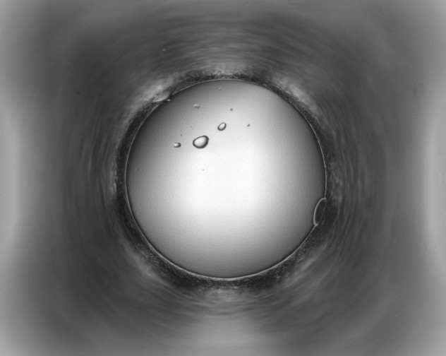 X0000086800631200704271851