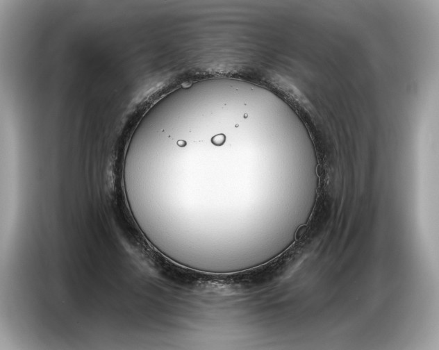 X0000086800635200704271851