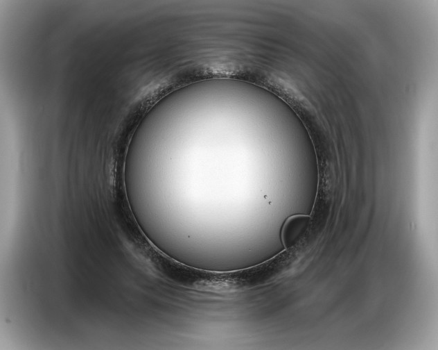 X0000086800639200704271851