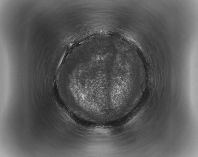 X0000086800641200704271851