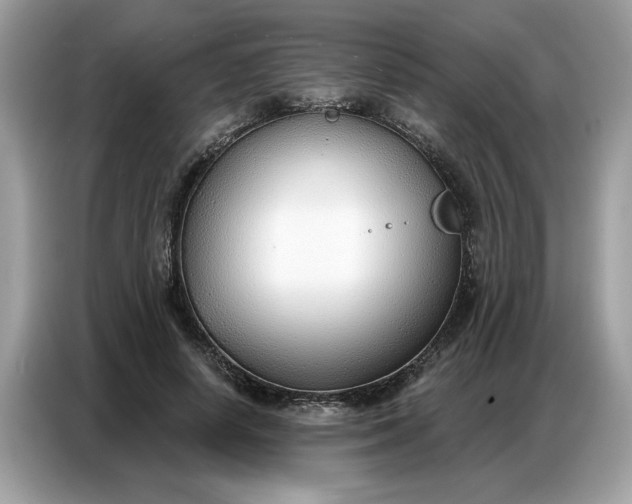 X0000086800642200704271851