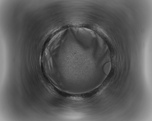 X0000086800644200704271851