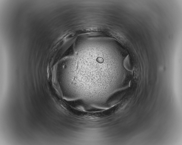 X0000086800648200704271851