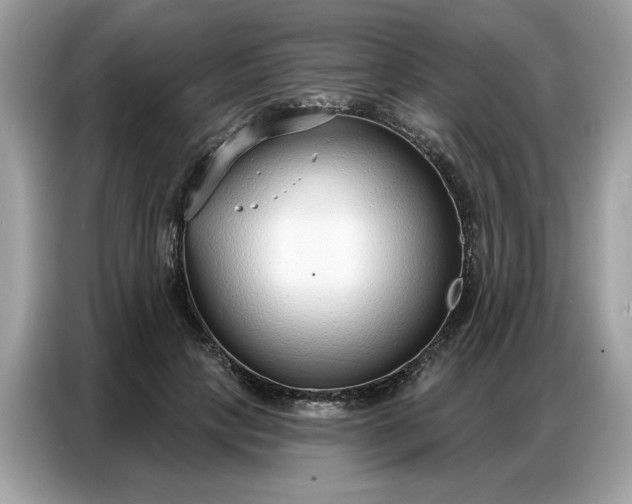 X0000086800649200704271851