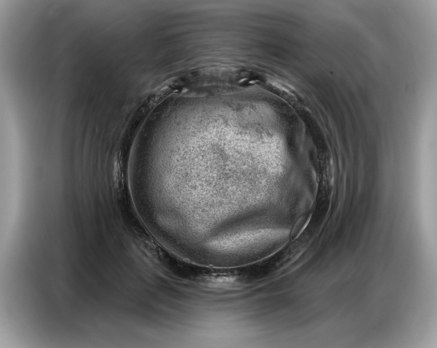 X0000086800651200704271851