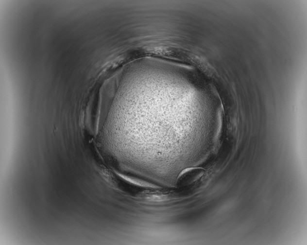 X0000086800658200704271851