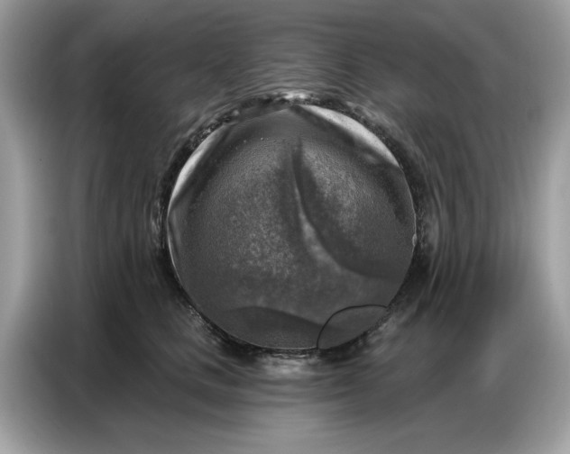 X0000086800661200704271851