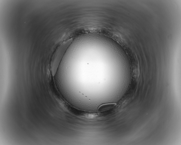 X0000086800662200704271851