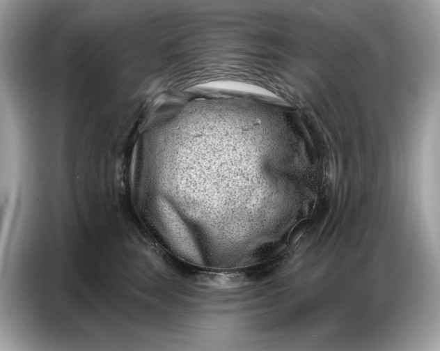 X0000086800663200704271851