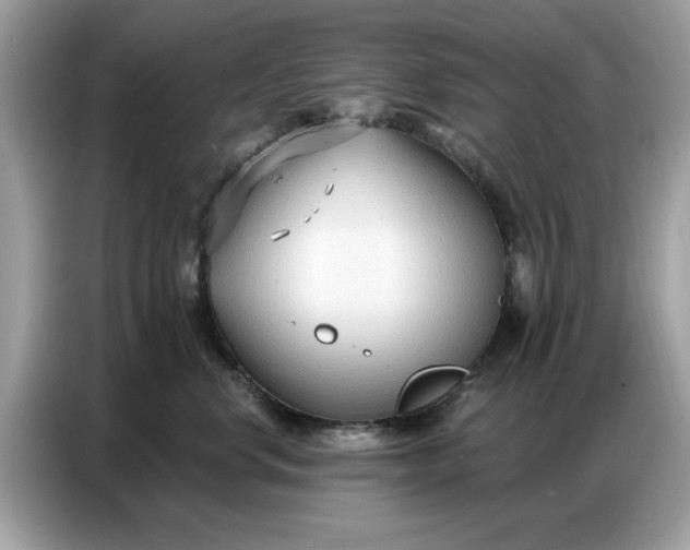 X0000086800668200704271851