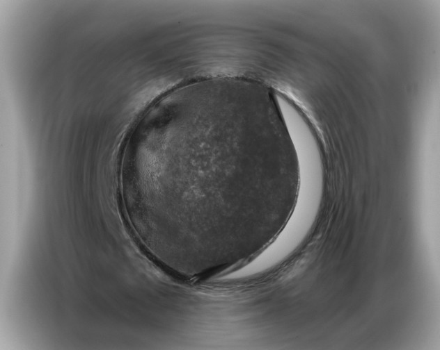 X0000086800673200704271851