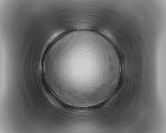 X0000086800674200704271851