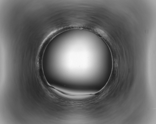 X0000086800676200704271851