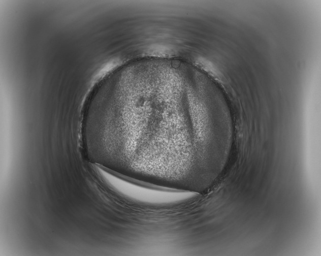 X0000086800679200704271851