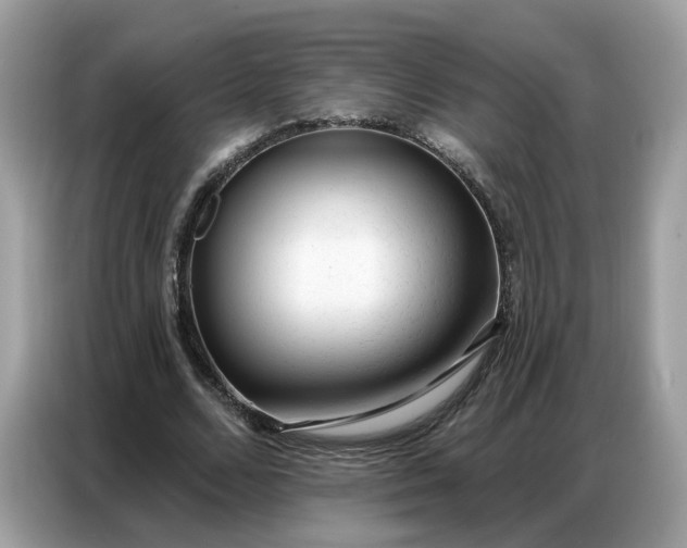 X0000086800680200704271851