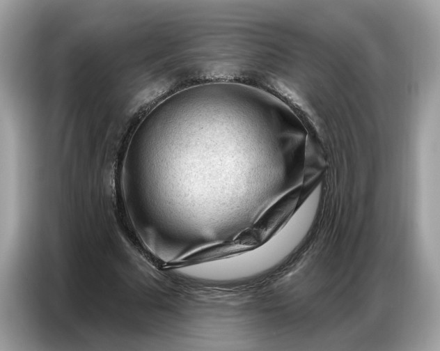 X0000086800681200704271851