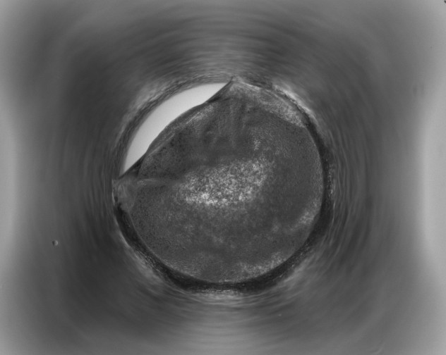 X0000086800685200704271850