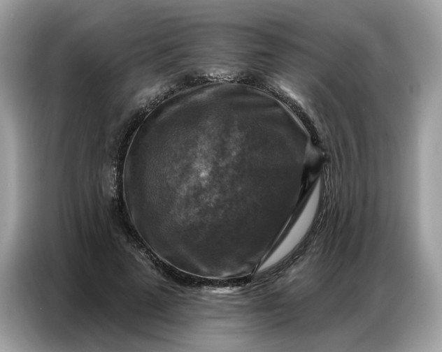 X0000086800689200704271850