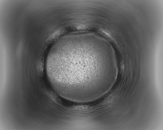 X0000086800691200704271850