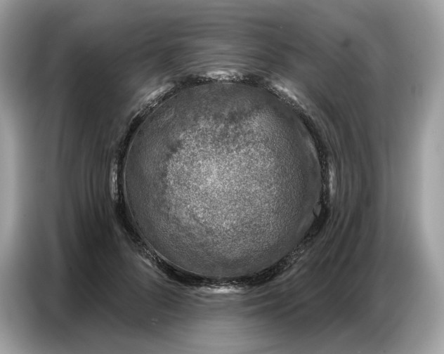 X0000086800696200704271850