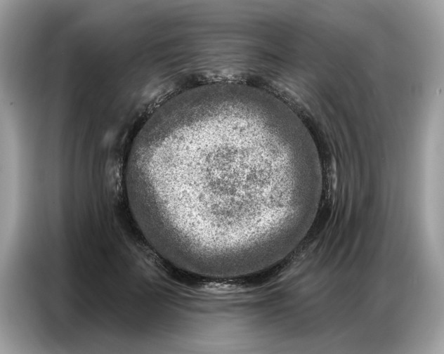 X0000086800699200704271850