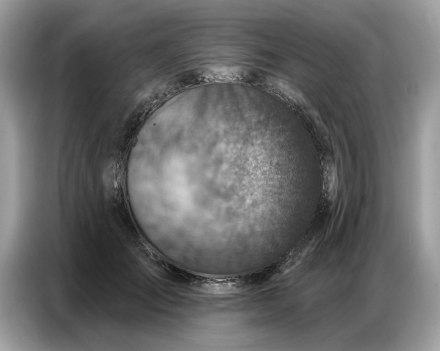 X0000086800701200704271850