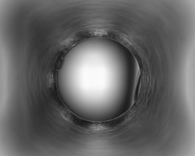 X0000086800704200704271850