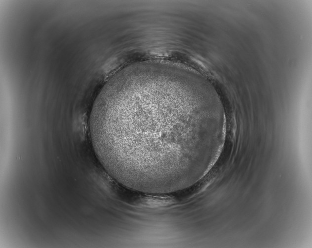 X0000086800707200704271850