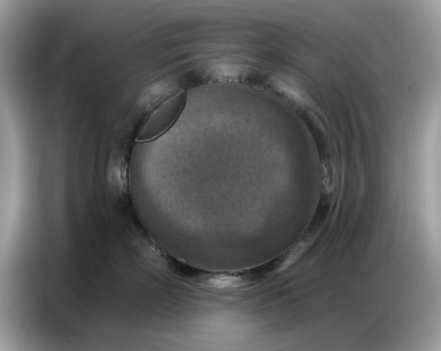 X0000086800718200704271850