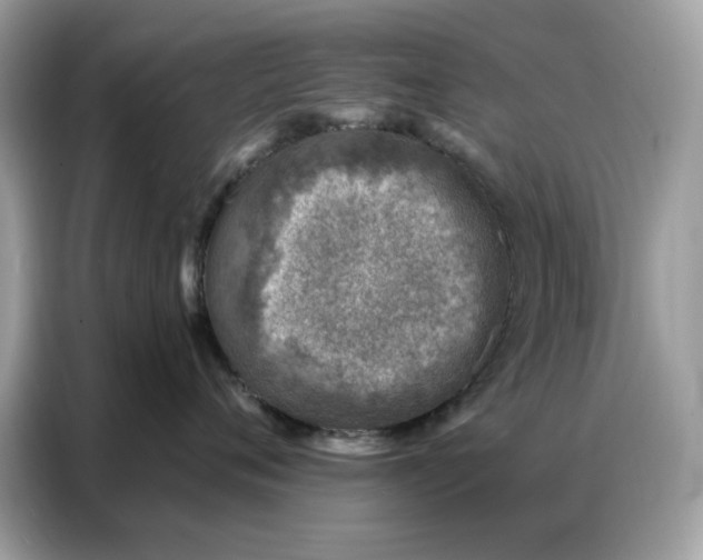 X0000086800720200704271850