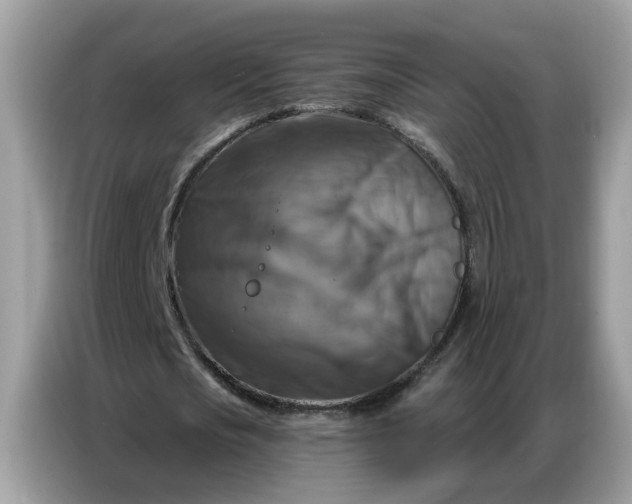 X0000086800721200704271849