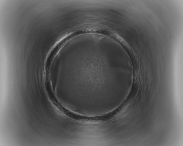 X0000086800722200704271849