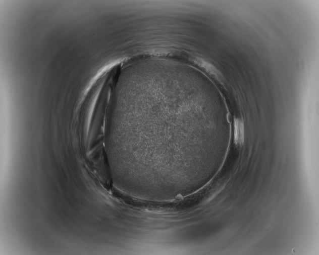 X0000086800723200704271849