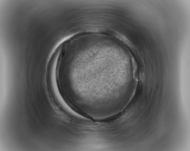 X0000086800724200704271849