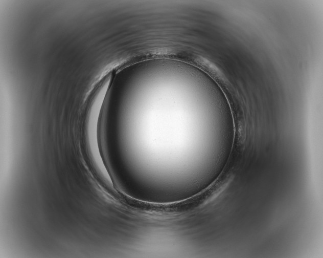 X0000086800725200704271849