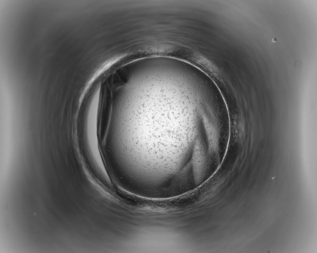 X0000086800726200704271849