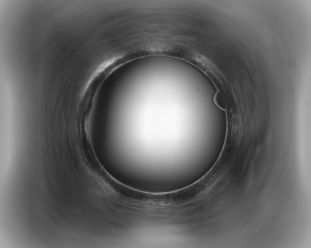 X0000086800727200704271849