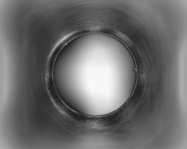 X0000086800728200704271849