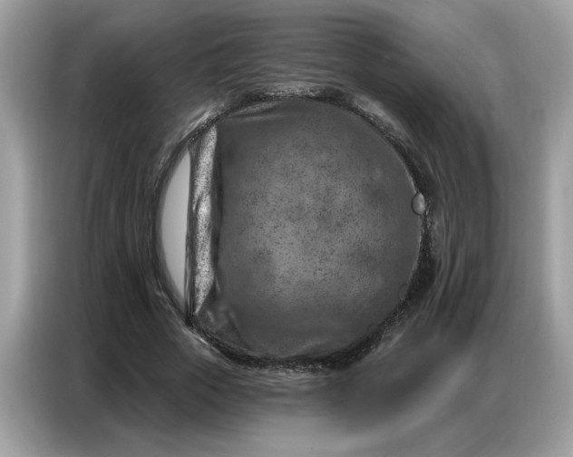 X0000086800729200704271849