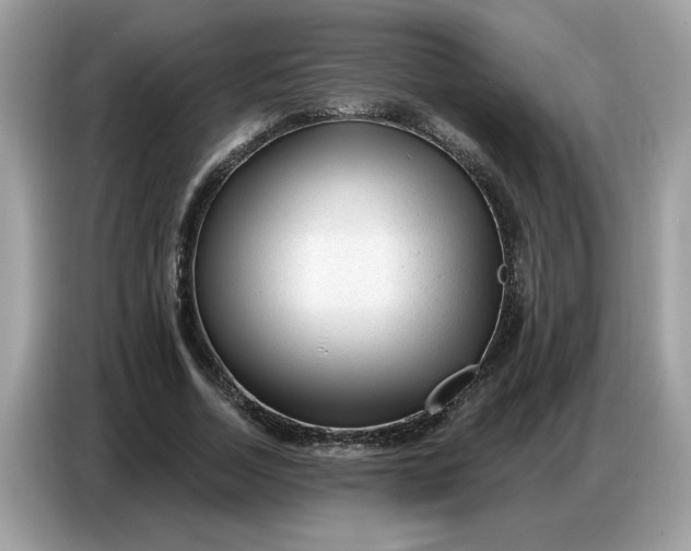 X0000086800730200704271849