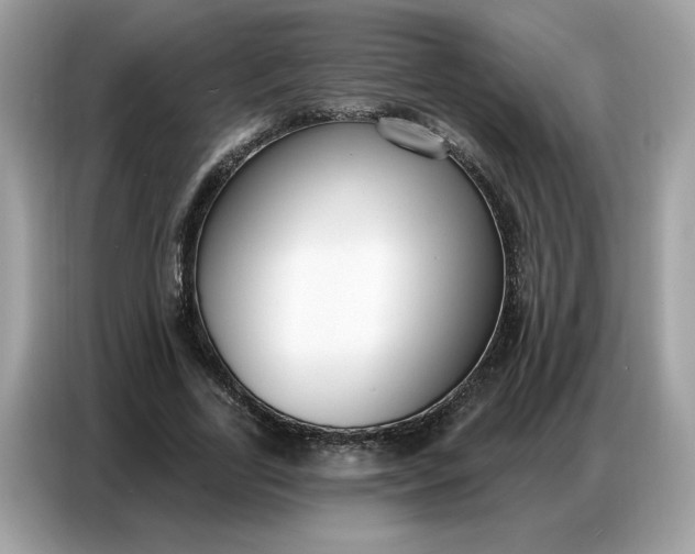 X0000086800731200704271850