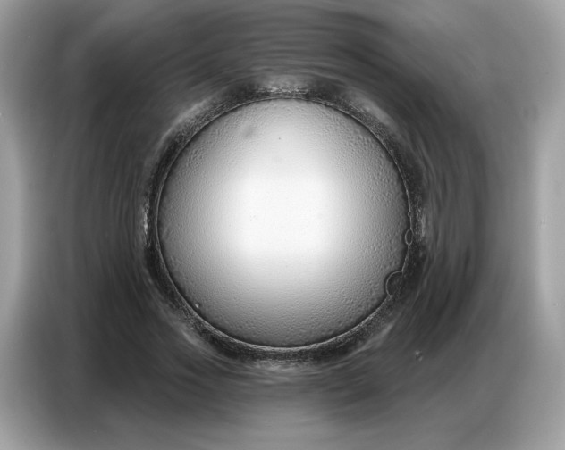 X0000086800733200704271850