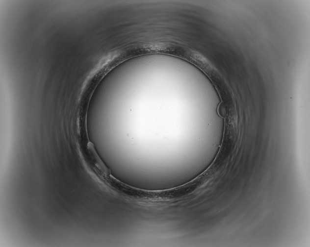 X0000086800734200704271850