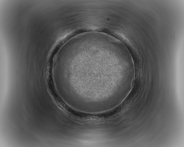 X0000086800736200704271850