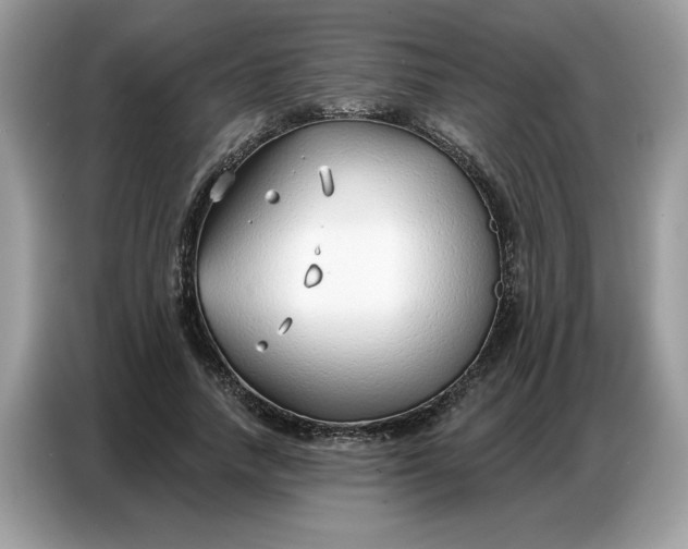 X0000086800738200704271850