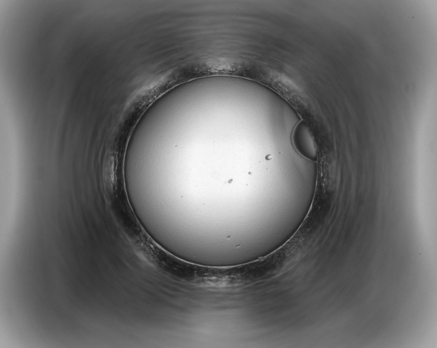 X0000086800740200704271850