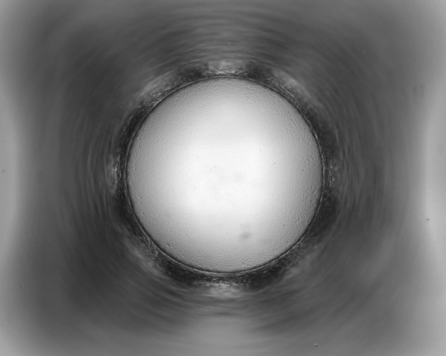 X0000086800741200704271850