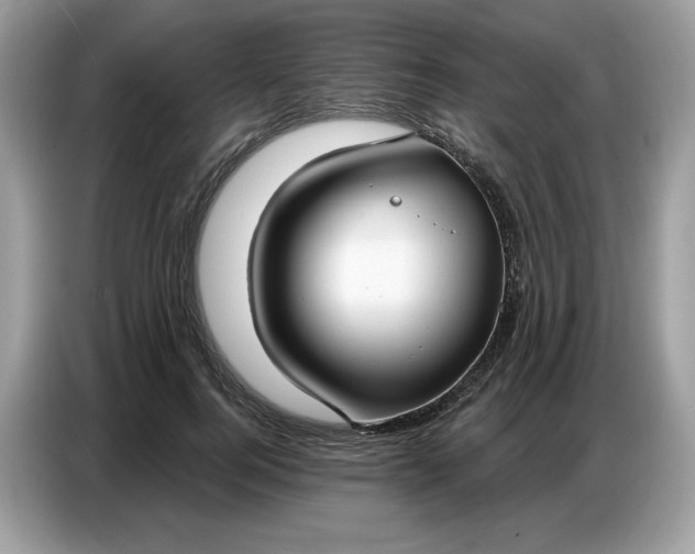 X0000086800744200704271850