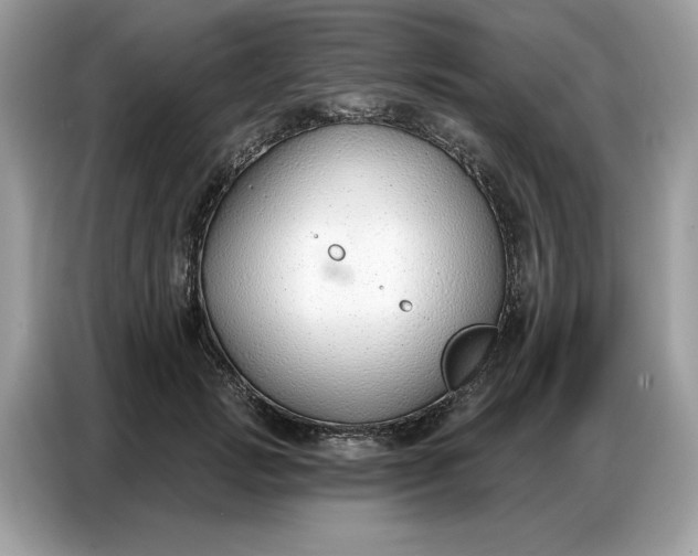 X0000086800749200704271850