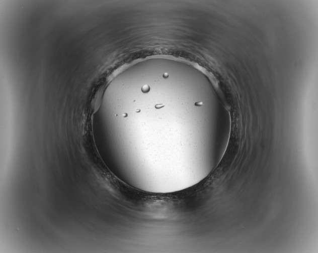 X0000086800750200704271850